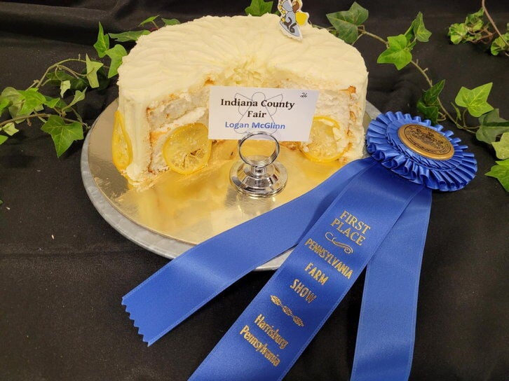 Get The Recipe For The Winning Cake From The 2024 PA Farm Show Angel   659c25286d880.image 