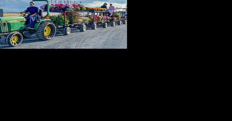 Flower Growers Blossom in Keystone State - Vimarsana News