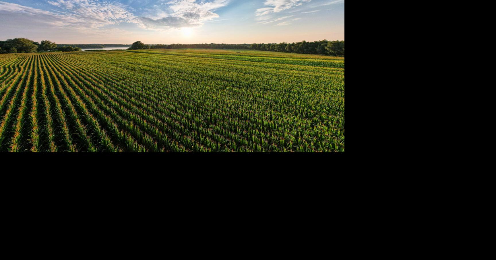 It Takes a Special Kind of Resilient Optimism to Farm Farm and Rural Family Life