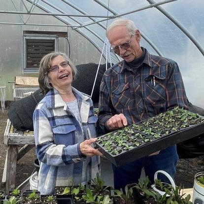 Pioneering Diversified Organic Farmers Share Their Agricultural Journey - Vimarsana News