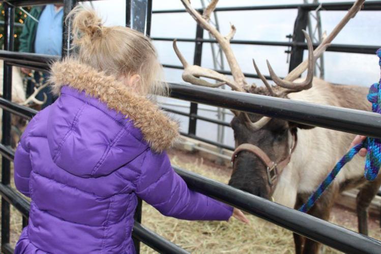 The Flight of the Reindeer | Farm and Rural Family Life | lancasterfarming.com