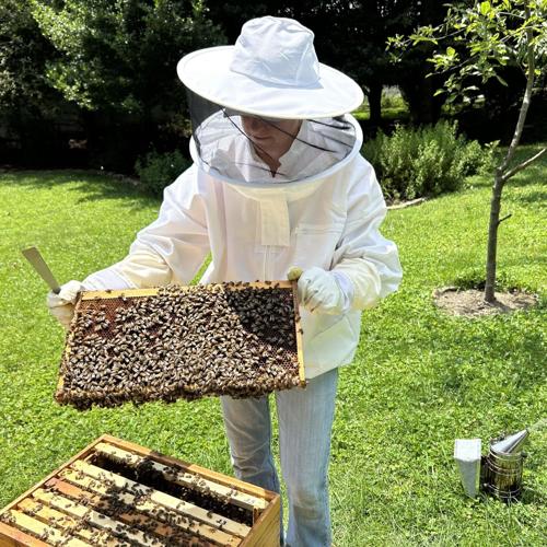 Starting Your Own Hive? Resources for First Time Beekeepers | Livestock ...
