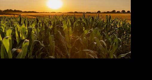 Public's Farm Bill Priorities Lie in Climate Change, Worker Production, Small Farms and Hunger [Opinion] | Farming and Agricultural News - Vimarsana News