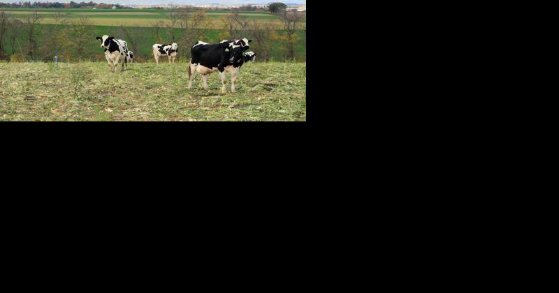 The Pa. Farm Bill Has Led to $22.5M in Conservation Grants | Conservation and Renewable Energy News - Vimarsana News