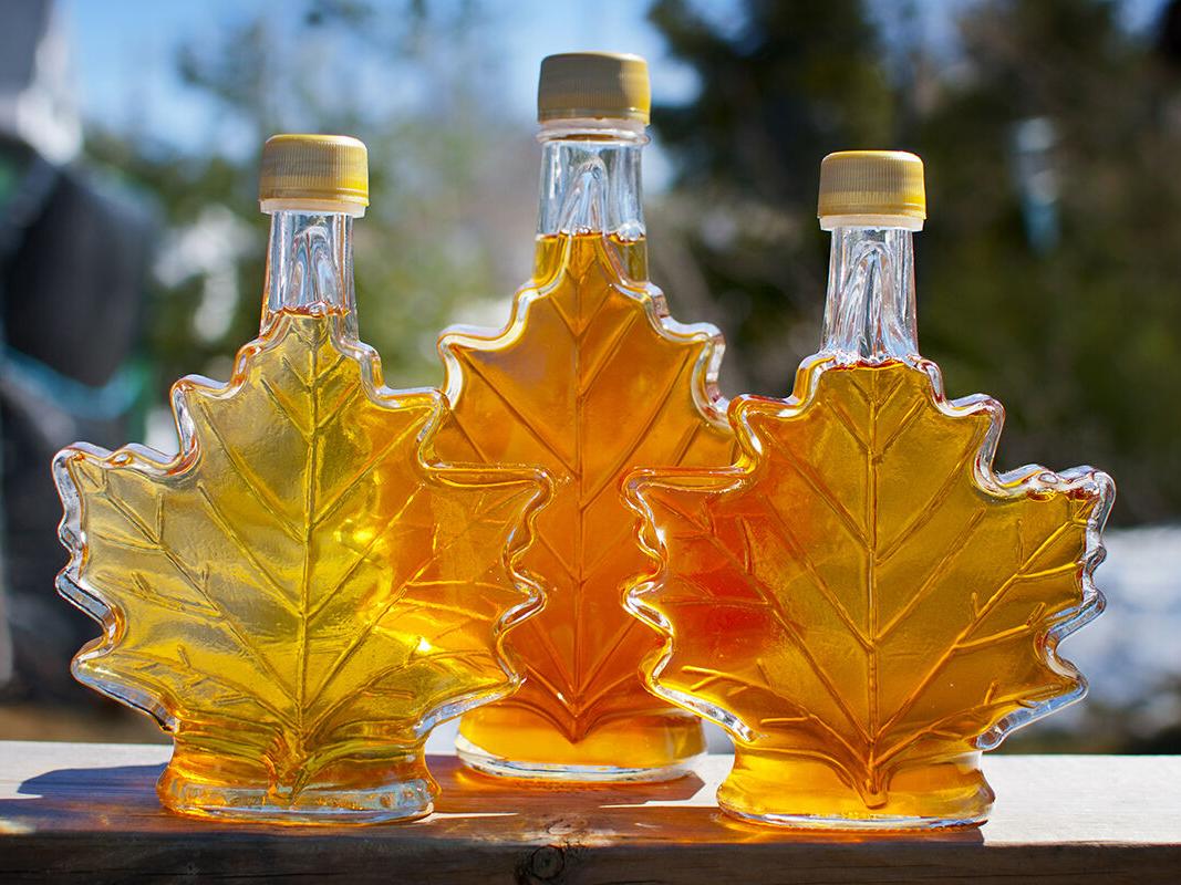 Maple Researcher Gives Tips for Taps - Vimarsana News