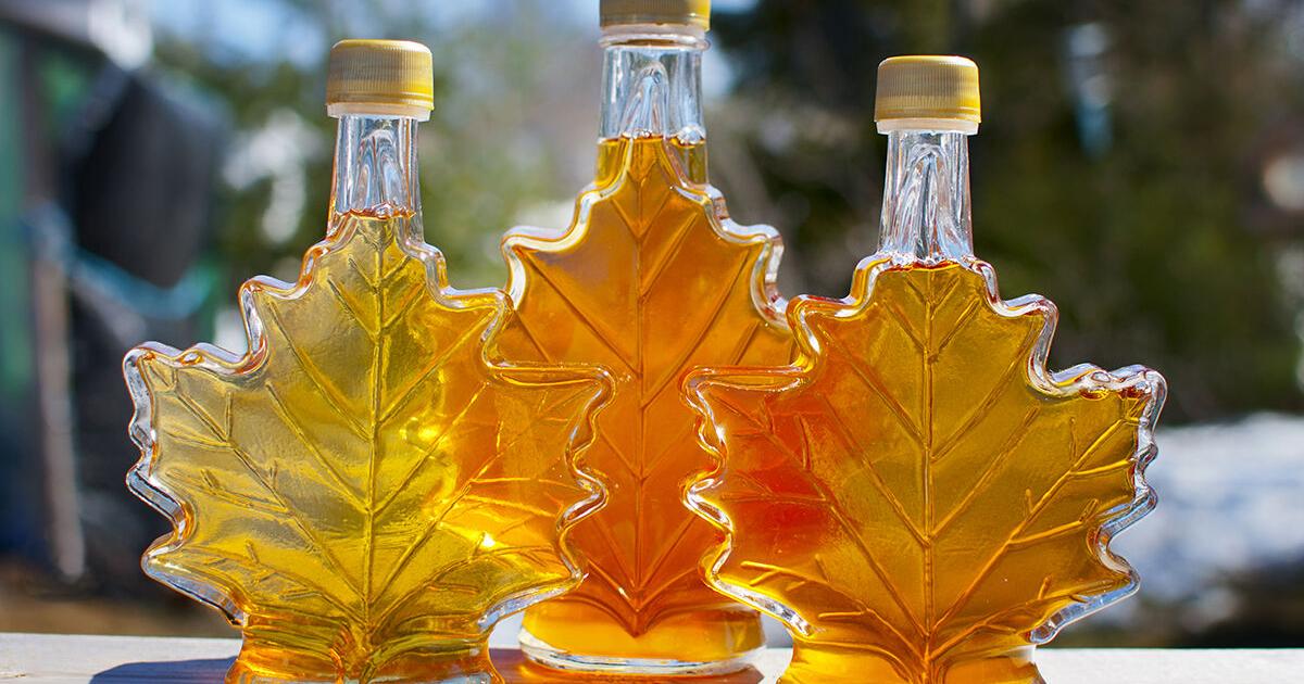 West Virginia Maple Researchers Improve Flow in Narrow Tubes - Vimarsana News