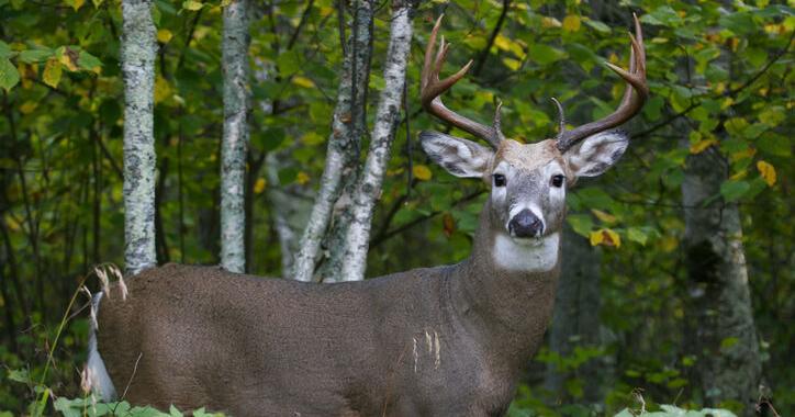 PA Game Commission Wardens Adapt to Changes for 2026 Season