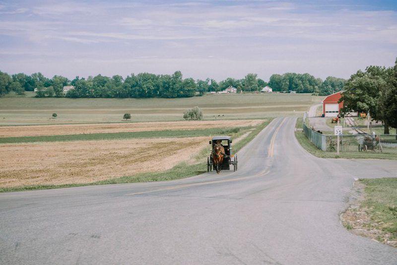 Penn State Extension Develops Food Safety Education Plan for Plain Sect - Lancaster Farming