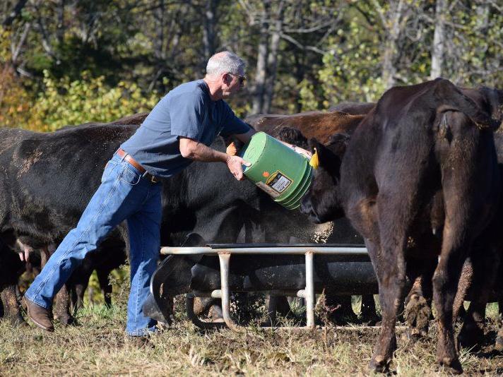 Central Virginia Farmer Switches To Japanese Wagyu Cattle Beef Cattle Farming News Lancasterfarming Com Central Virginia Farmer Switches To Japanese Wagyu Cattle Beef Cattle Farming News Lancasterfarming Com