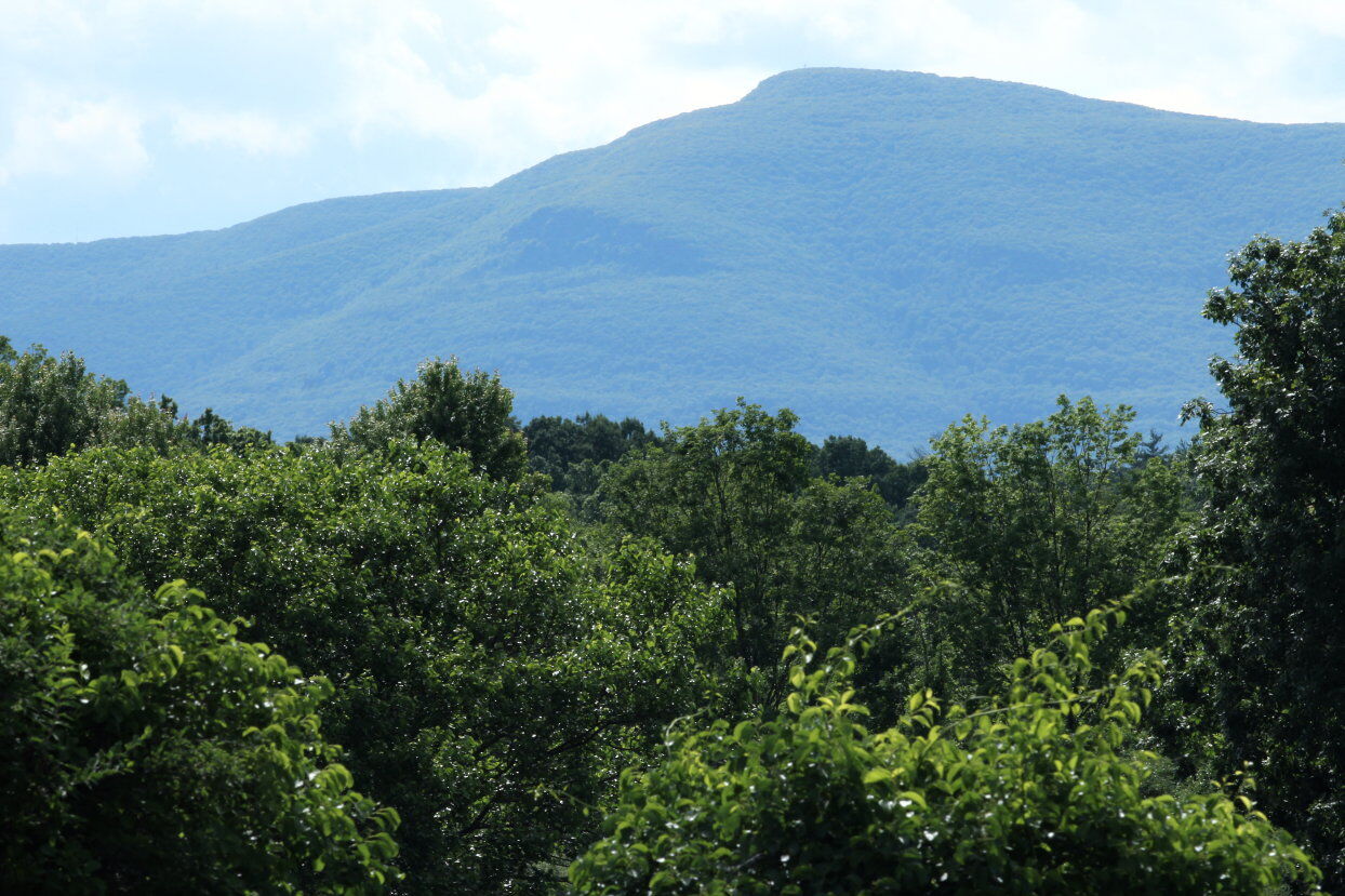 Remote security for rural 2025 mailbox 400 foot hilly terrain