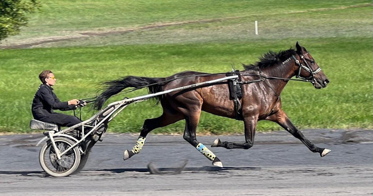 Trainers Saddened by Closure of Freehold Raceway, Which Launched ...