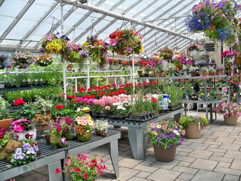 Create Your Own Greenhouse Crawl Gardening Lancasterfarming Com