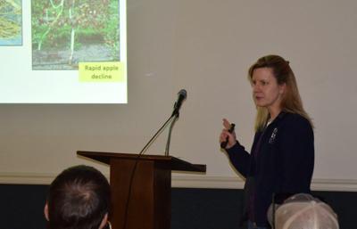 Mystery Issue Killing Apple Trees