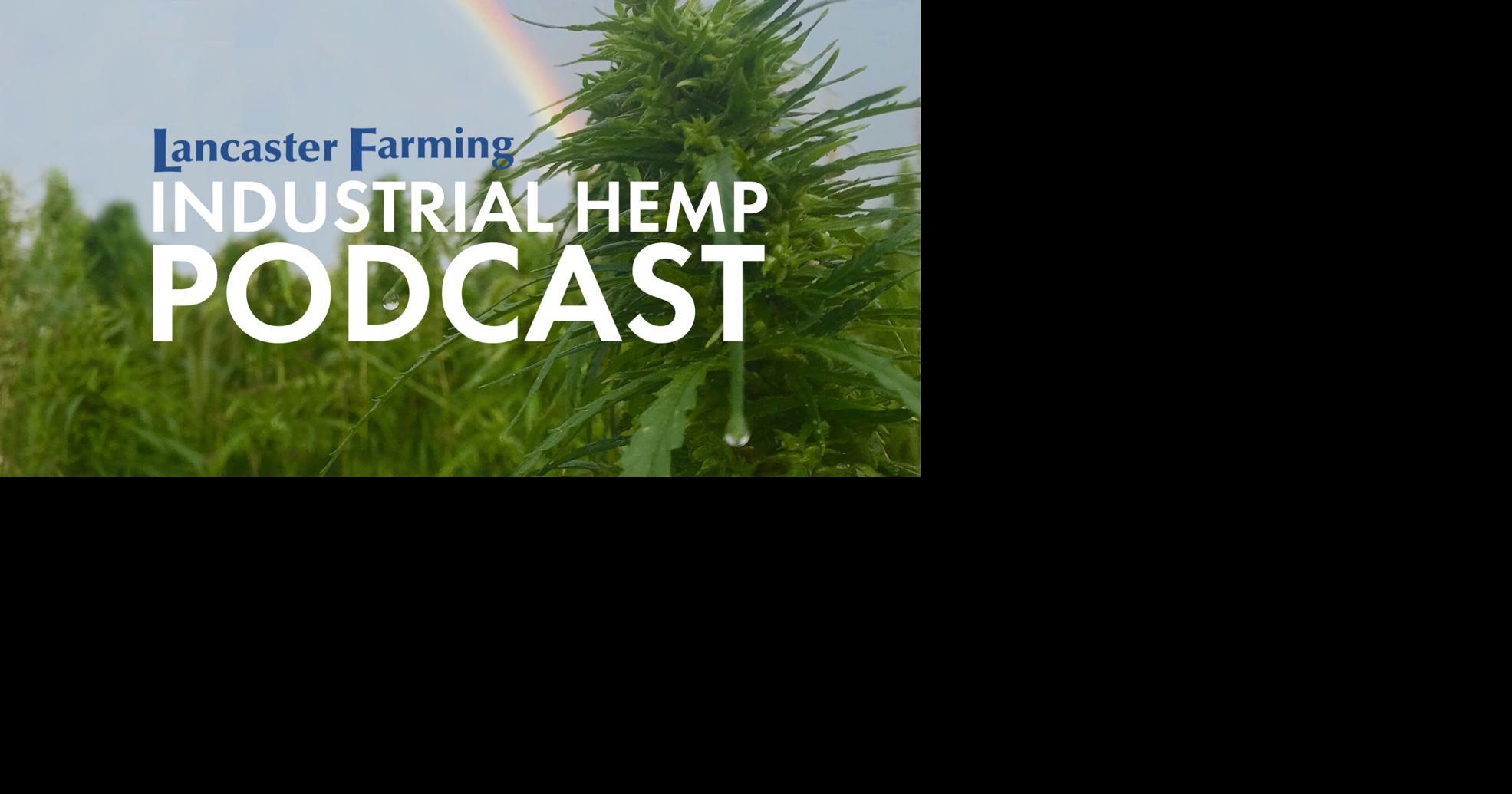 Podcast: Hemp Documentary Film in Production