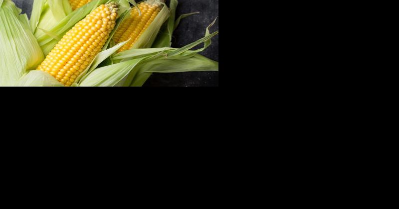 Get the Most Out of Corn Season by Preserving Your Fresh Corn - Vimarsana News