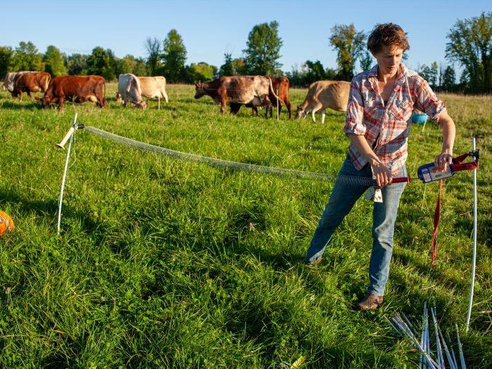 Grants Help Adirondack Farmers Reduce Environmental Impact - Vimarsana News