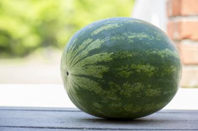 Melon.jpg