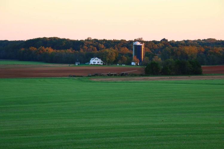 Kettle Wind Farm Honored for Environmental Stewardship News