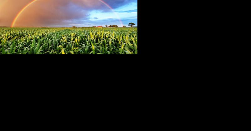 Does God Make Promises? - Vimarsana News