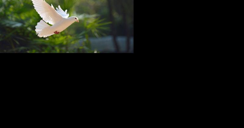 Recognizing and Giving Thanks for the Grace of God - Vimarsana News