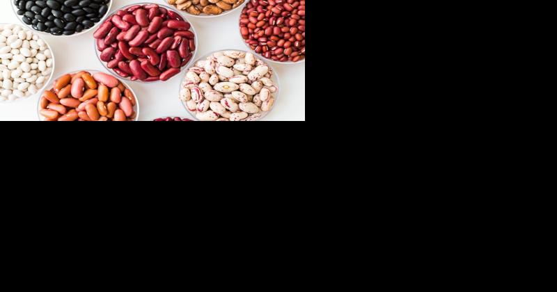 Incorporating Beans Into Your Family Meals - Vimarsana News