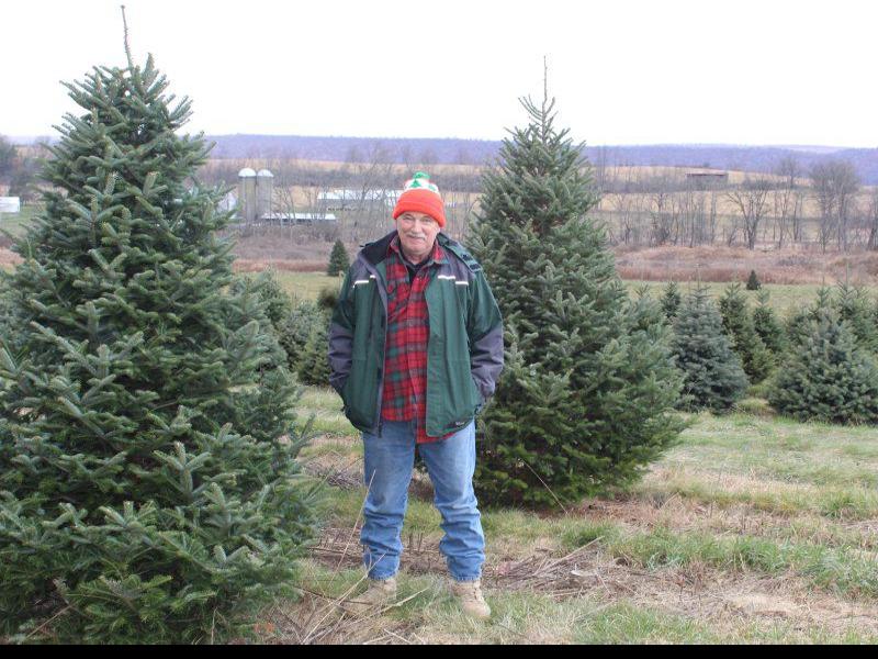 Finding The Perfect Vocation And The Perfect Tree The Heart Of The Farm Is The Family Lancasterfarming Com