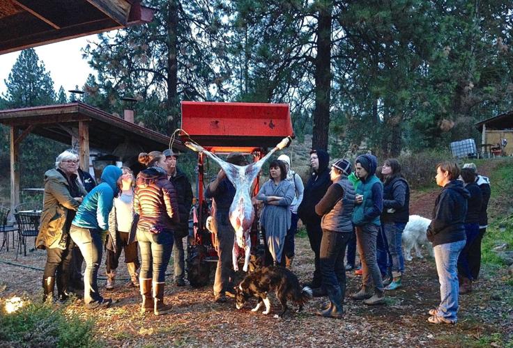 Bringing Together Women Working in the Meat Industry Seasonal Food
