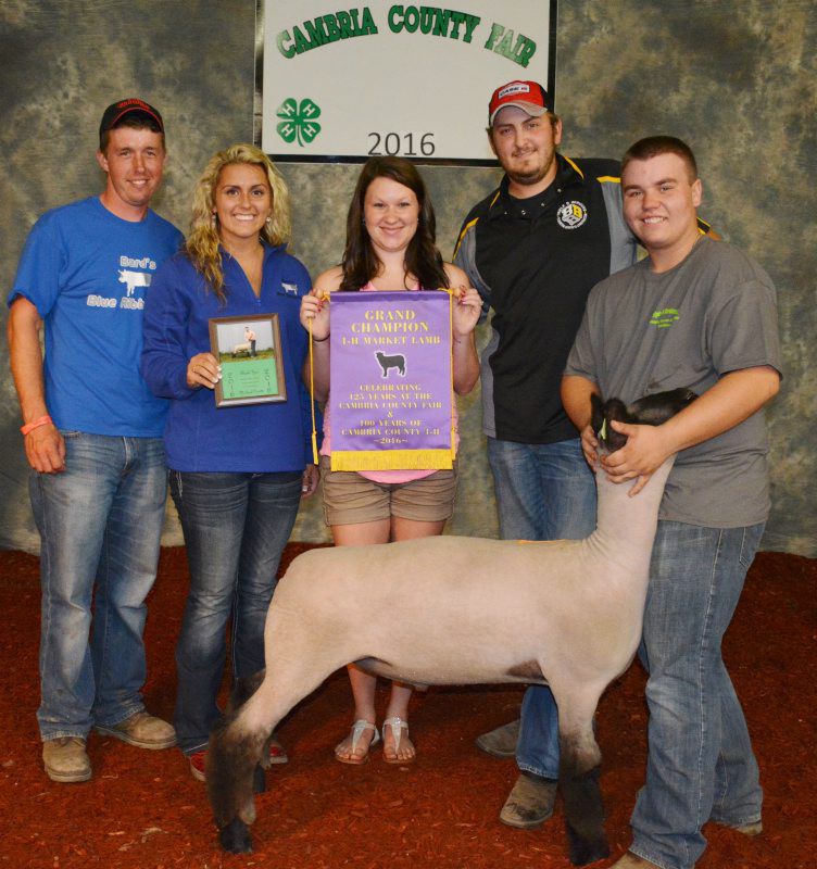 Cambria Youth Livestock Sale Brings In 185,000 Farm Shows, County