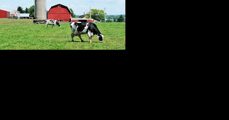 Pennsylvania Dairy Groups Ask for Flat Over-Order Premium - Vimarsana News