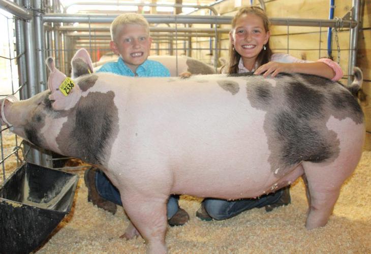 Garrett Livestock Sale Brings Home the Bacon Farm Shows, County Fairs