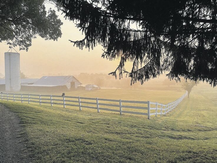 Weekend Cattle Drives in the Blue Ridge Mountains Put Guests in the ...