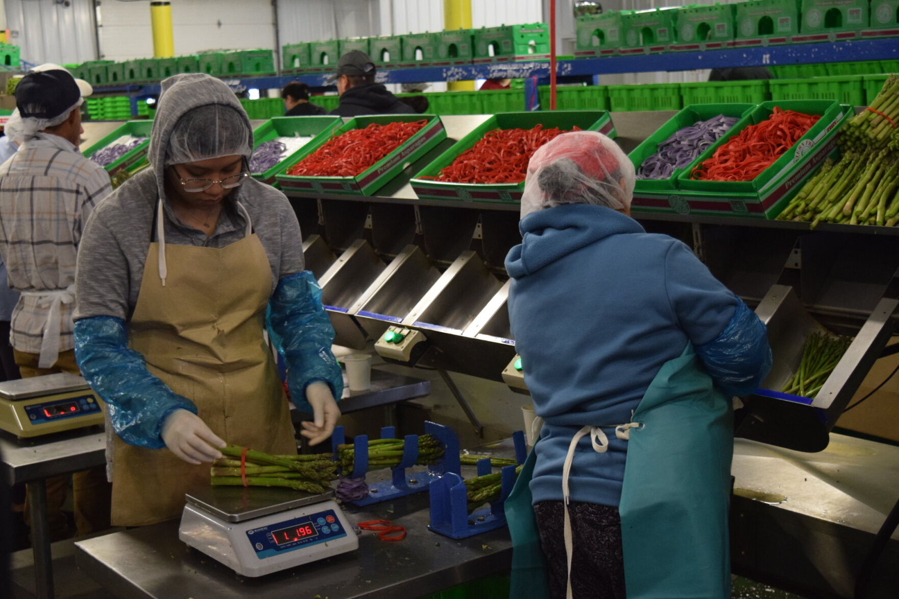 Asparagus Grower Kicks Off New Jersey Produce Season | Fruit