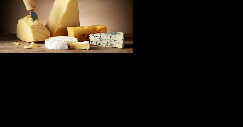 Can You Really Be Addicted to Cheese? Fascinating Cheese Trivia - Vimarsana News