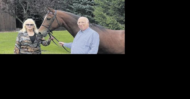 American Association of Equine Practitioners Receives Record $1M Gift - Vimarsana News
