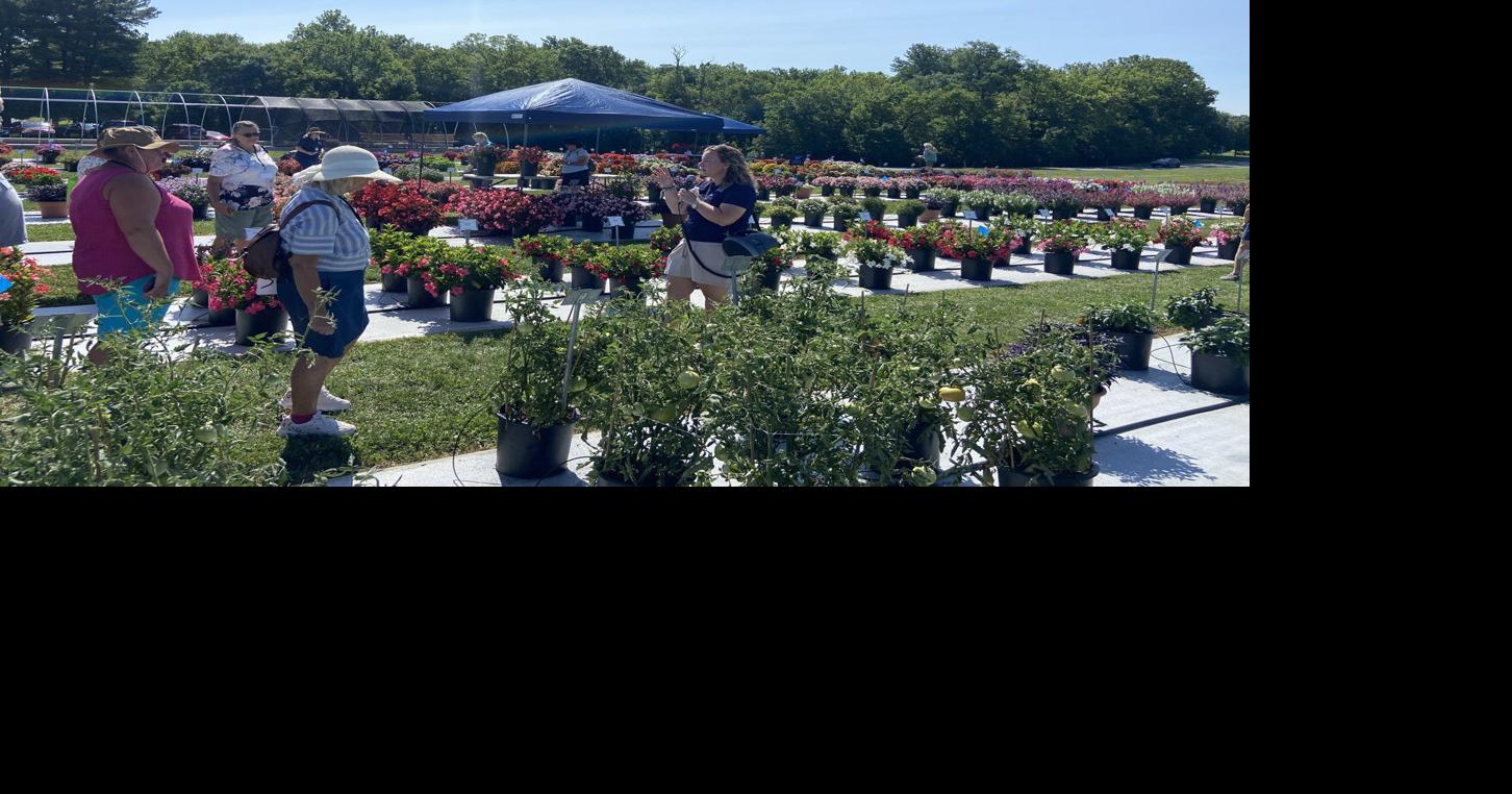 Penn State’s 90th Flower Trials Highlight Eye-Catching Plants