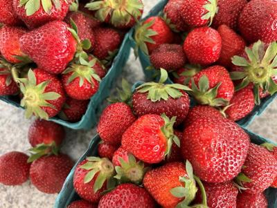 LF20220611-Strawberries-2.jpg