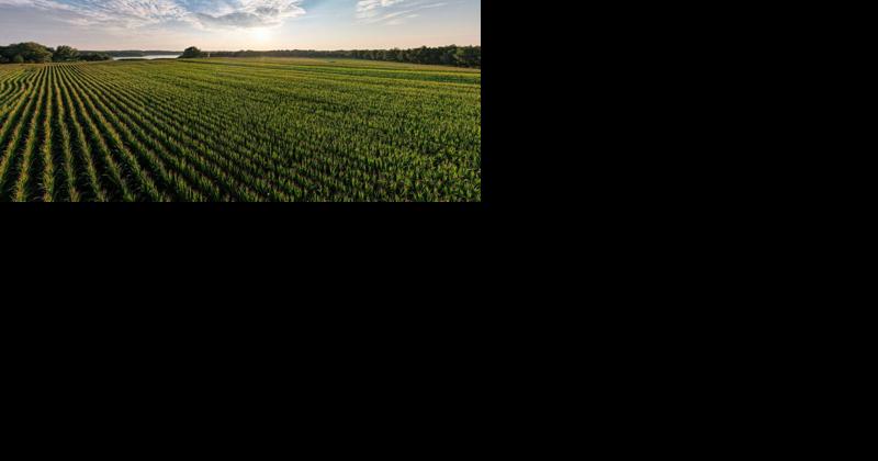 Too Many Farmers Take Clean and Green Tax Break But Don't Comply [Opinion] | Conservation and Renewable Energy News - Vimarsana News