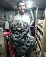 Growing Mushrooms at Ten Mile Mushrooms Is the Marriage of Art and Science