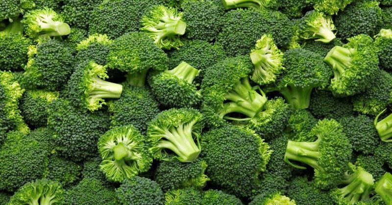 How to Preserve Broccoli and Cauliflower | Seasonal Food and Country Style Recipes | lancasterfarming.com
