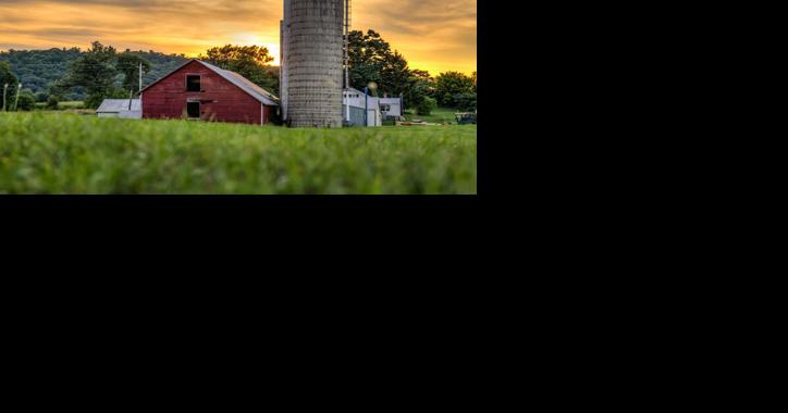 Maryland's Partition of Property Act Restores Hope - Vimarsana News