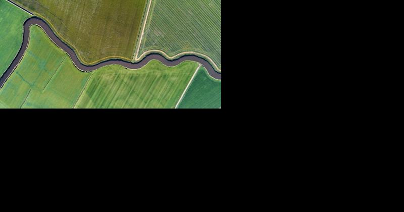 Time for New Leadership at the Pennsylvania Farm Bureau [Opinion] - Vimarsana News