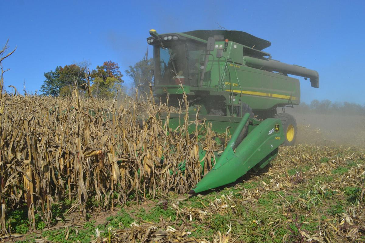 Harvest Slows, Feed Mills Busy; Farmers Urged to Monitor Bins | Home ...
