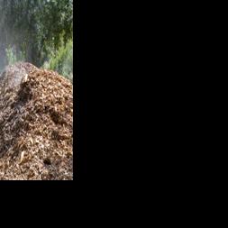 Gardeners, Arborists Build Symbiotic Relationship With ChipDrop ...