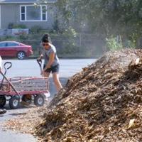 Chip Drop Raleigh Gardeners, Arborists Build Symbiotic Relationship With ChipDrop ...