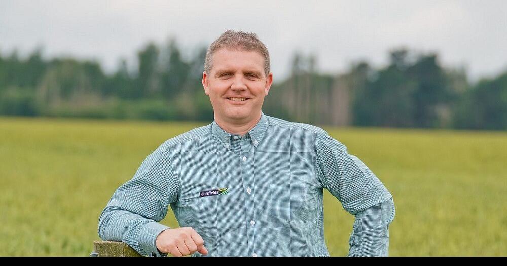 Carrfields: Agribusiness & Hemp in New Zealand