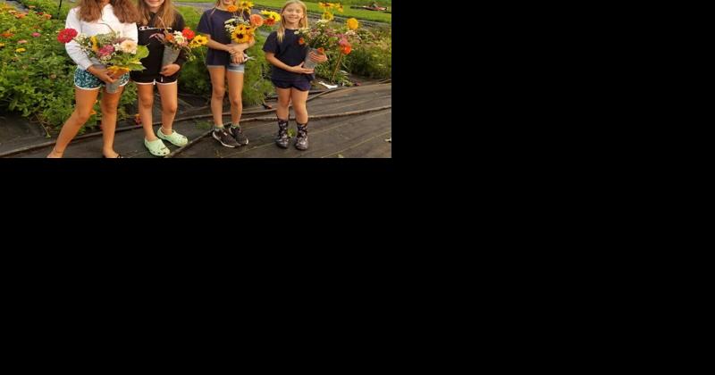 Blooming Meadows Farm's Five Acres of U-Pick Flowers Brighten Lives and Provide Revenue - Vimarsana News