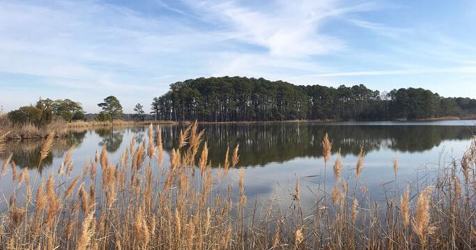 How the Chesapeake Bay Legacy Act Will Impact Agriculture