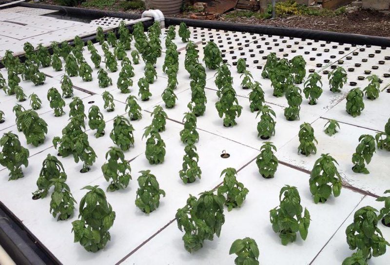 rooftop farming: the next american frontier • thecoolist