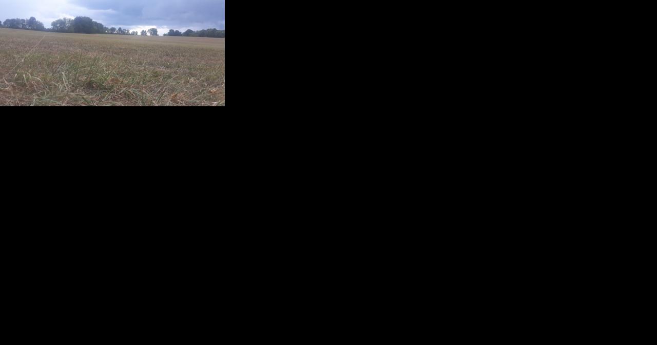Pennsylvania DEP Declares Drought Watch for 36 Counties - Vimarsana News