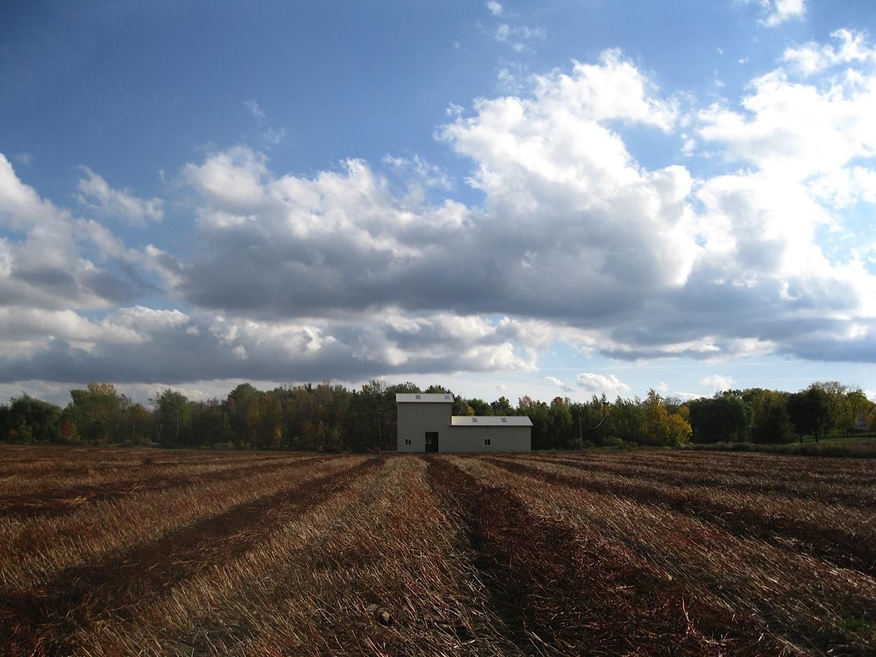 grain mill farm